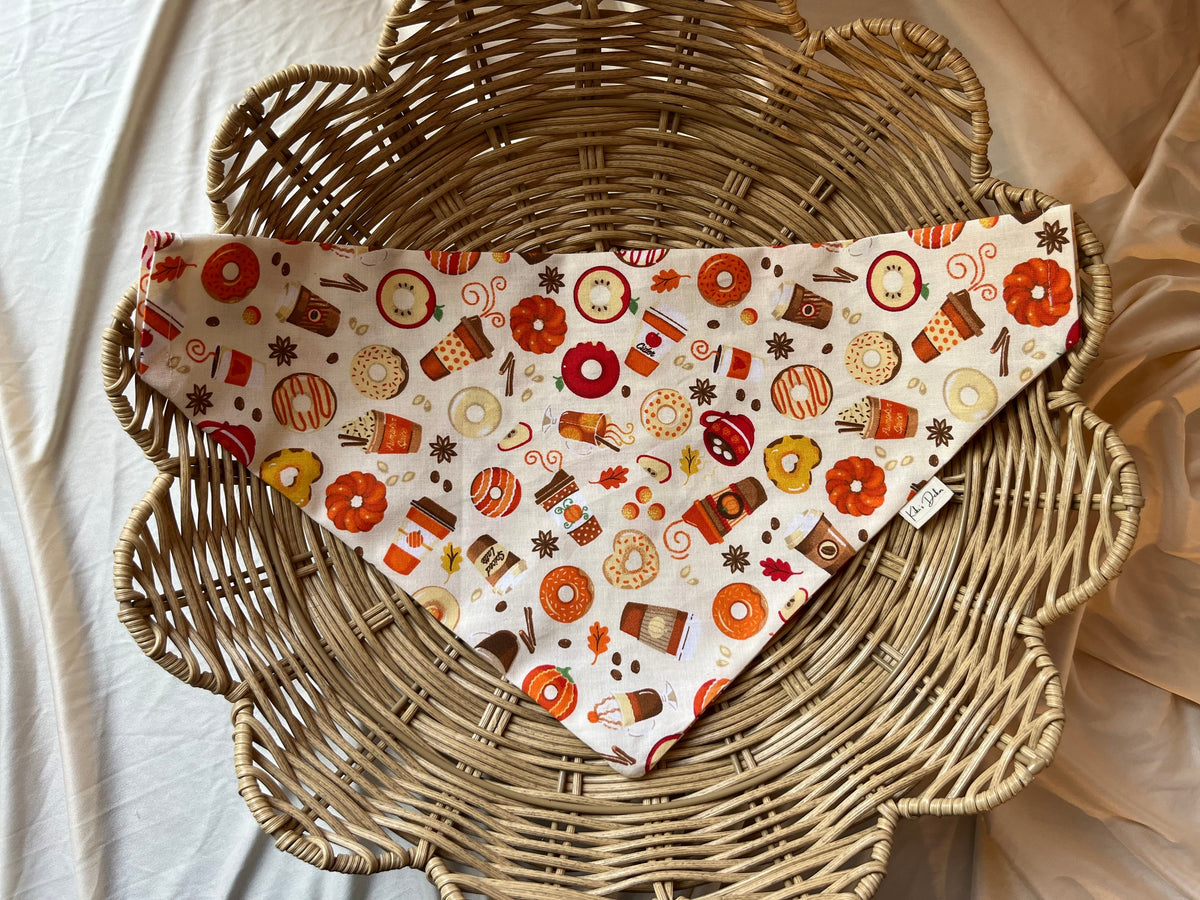 Pumpkin Spice & Apple Cider Dog Bandana